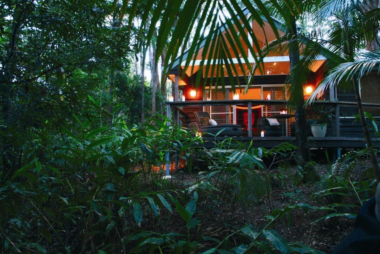 Songbirds Rainforest Retreat Mount Tamborine Exteriör bild