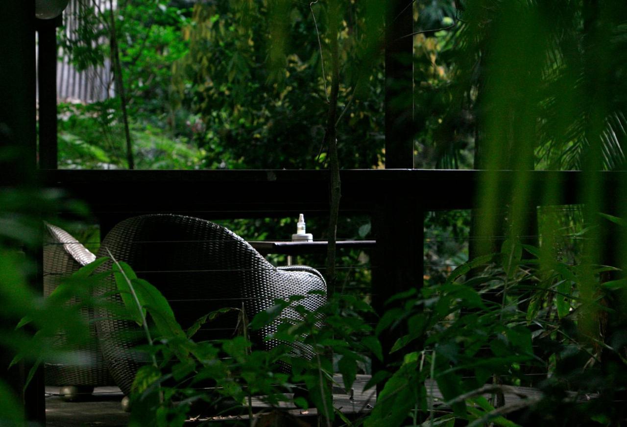 Songbirds Rainforest Retreat Mount Tamborine Exteriör bild