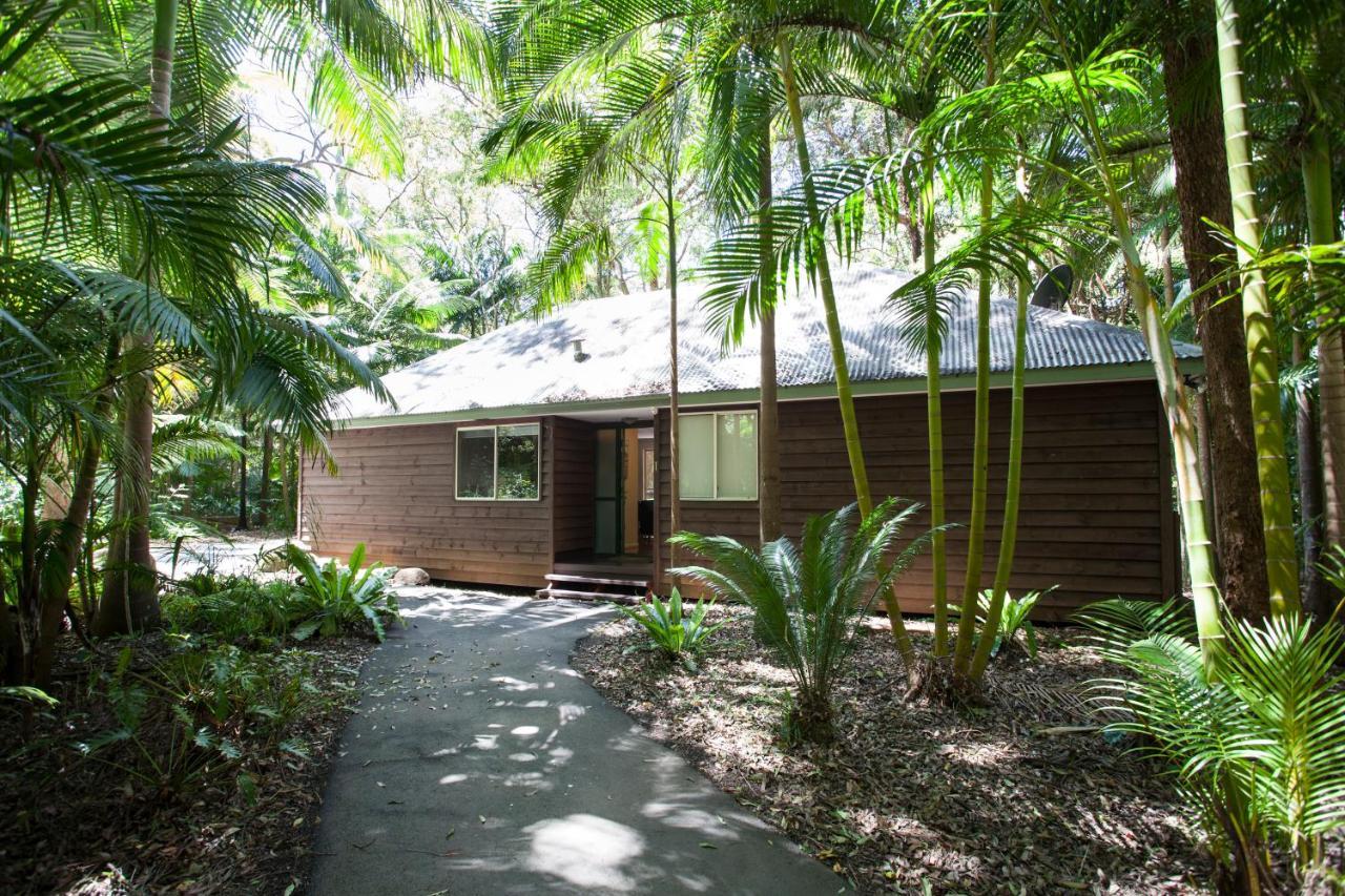 Songbirds Rainforest Retreat Mount Tamborine Exteriör bild