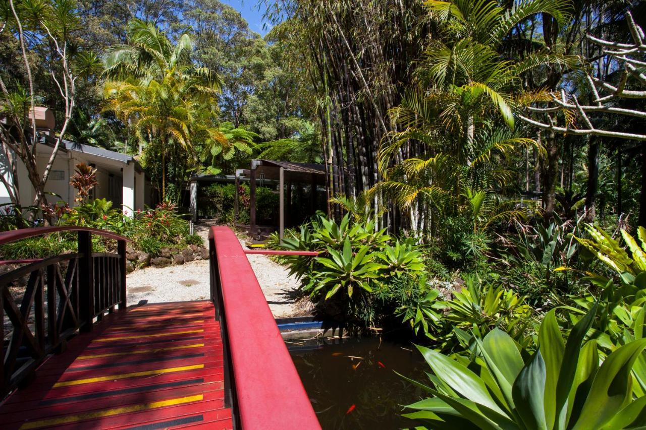 Songbirds Rainforest Retreat Mount Tamborine Exteriör bild