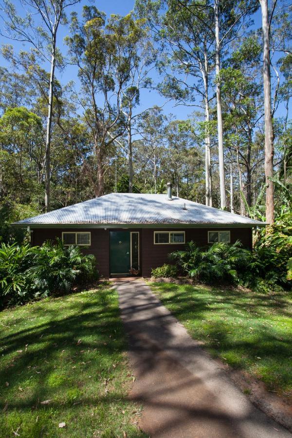Songbirds Rainforest Retreat Mount Tamborine Exteriör bild