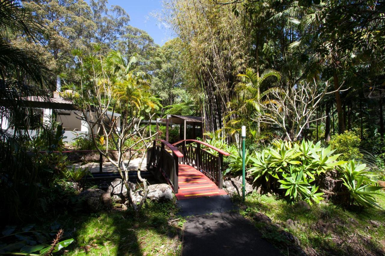 Songbirds Rainforest Retreat Mount Tamborine Exteriör bild