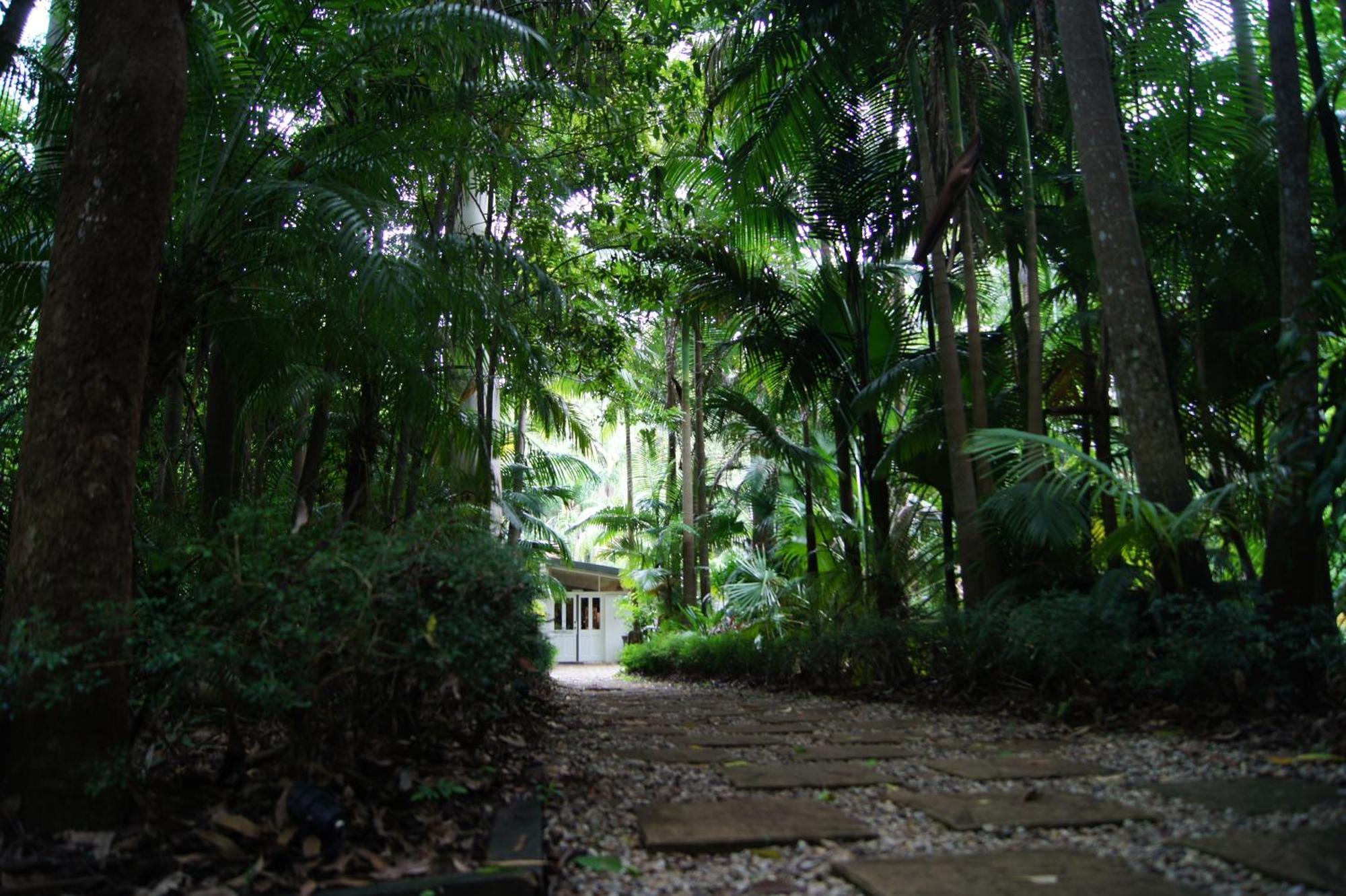 Songbirds Rainforest Retreat Mount Tamborine Exteriör bild